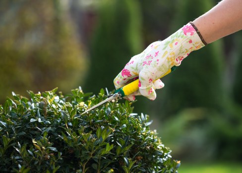 Gardener working in a Catford front garden with tools