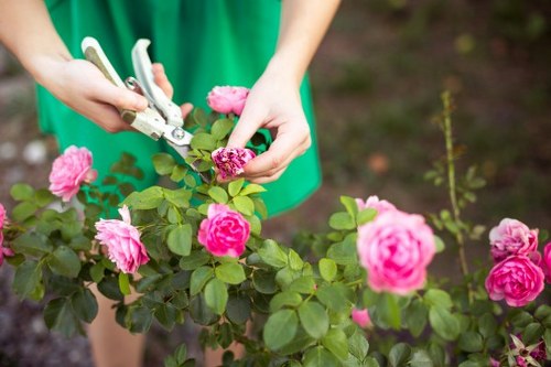 Volunteer using a screen reader and keyboard to access garden resources online