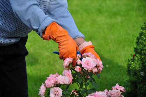 Documentation and records related to garden maintenance complaint